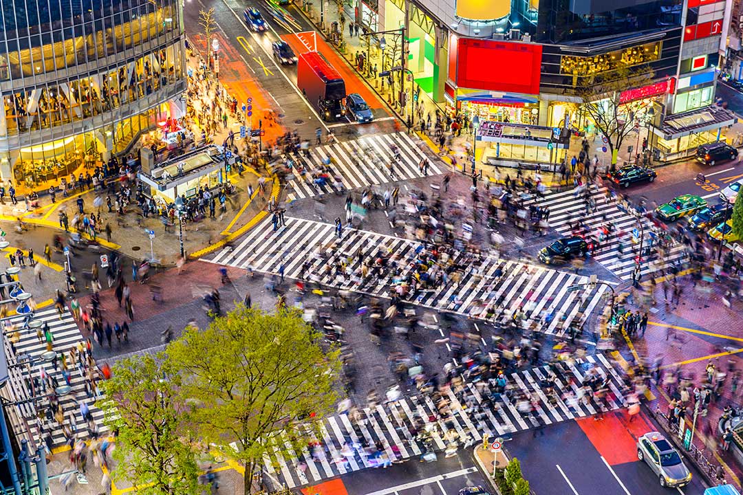 わたしなりの原因推測と対処法