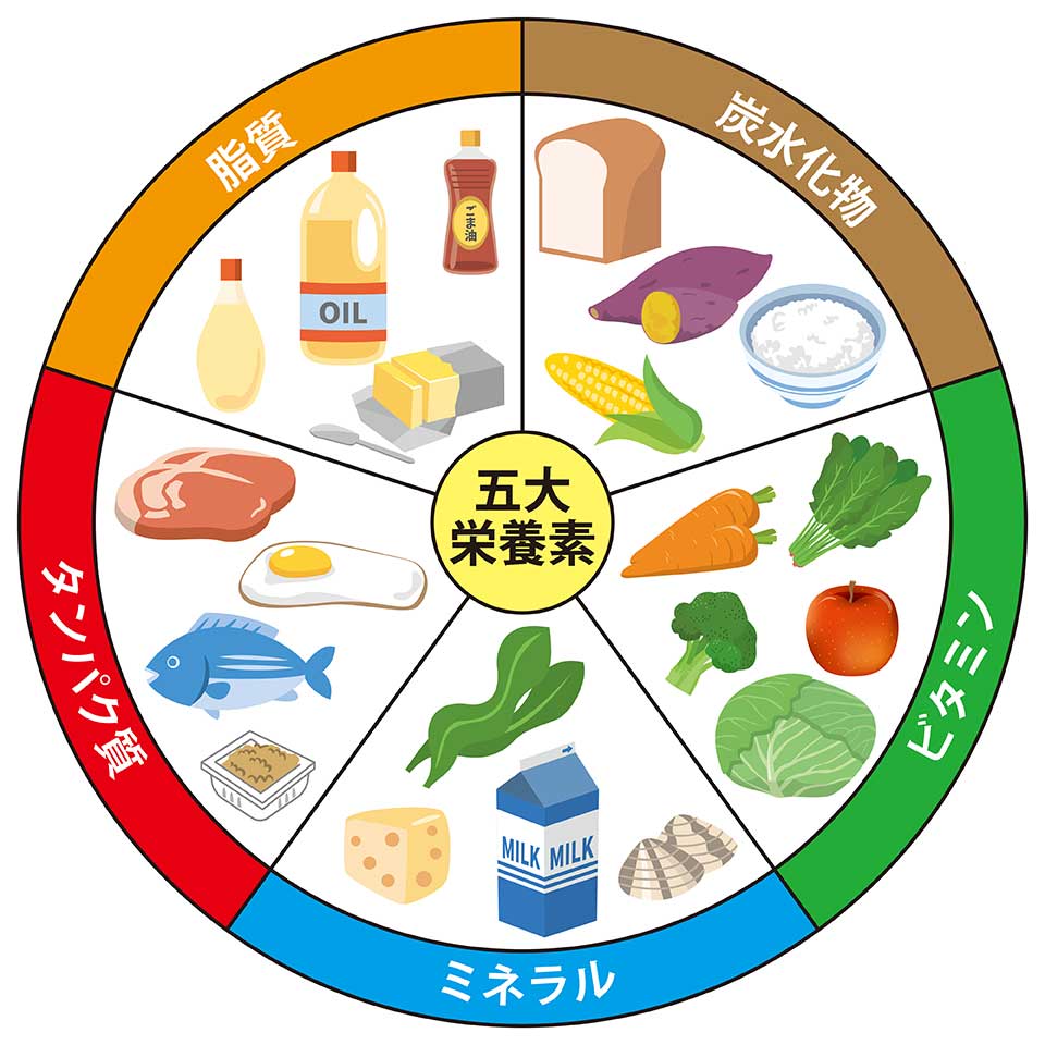 集中 力 を 高める 栄養素